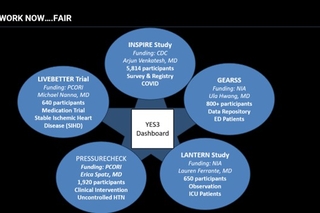 Studies using YES3