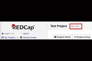 Screenshot to find Project ID